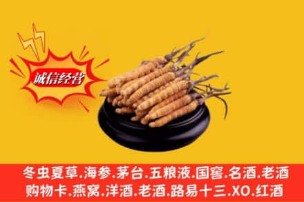蒙自市求购回收虫草多少钱每克